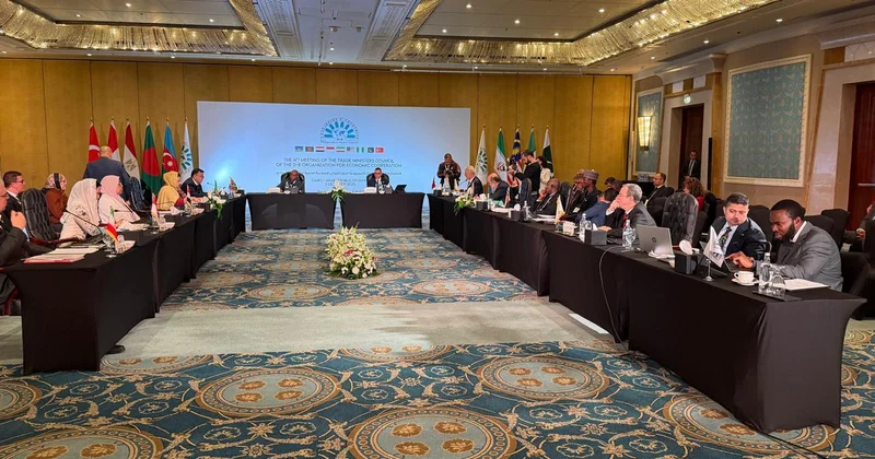 Страны D 8 приняли Каирскую декларацию о торговом сотрудничестве