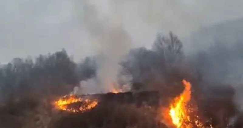 Пожары бушуют в Лачине и Кельбаджаре: МЧС принимает меры видео