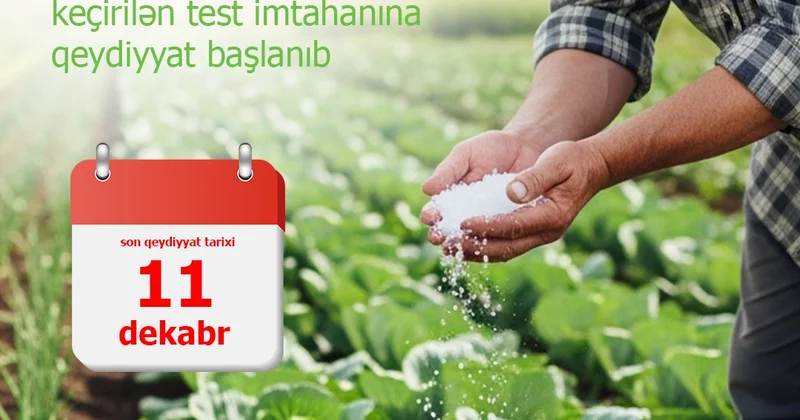 Корпус независимых экспертов