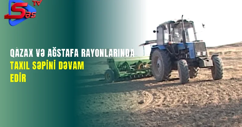 Qazax və Ağstafa rayonlarında taxıl səpini dəvam edir