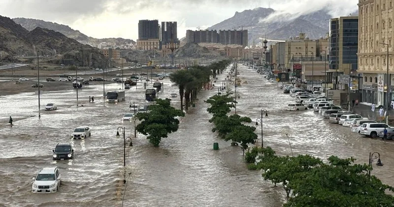Прошлый год побил климатические рекорды по температуре и осадкам