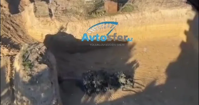 Jurnalist tikinti şirkətinin yaşıllıqları məhv etməyini İFŞA ETDİ VİDEO