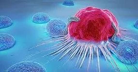 Yeni ildən sonra aktivləşən xərçəng növləri