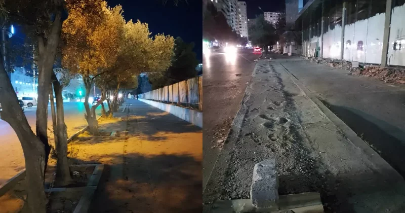 В Хырдалане ради стройки вырубили деревья ФОТОФАКТ