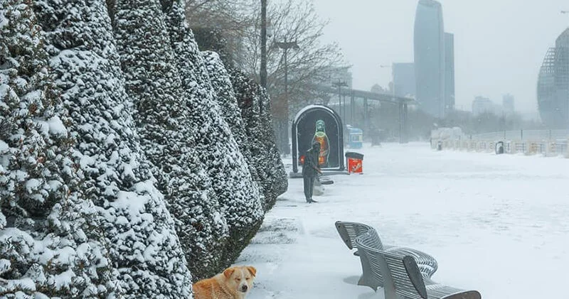 Yanvar ayında hava BELƏ OLACAQ : 37°C şaxta gözlənilir?