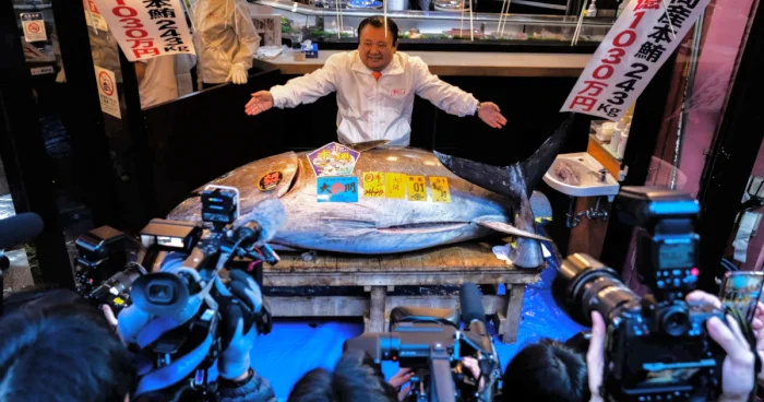 Yaponiyada rekord qiymətə balıq satılıb