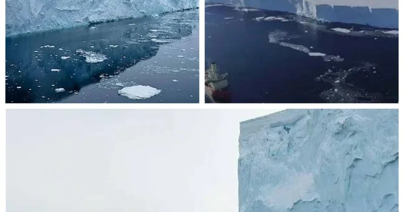 “Qiyamət günü buzlağı” qlobal təhlükə yaradır