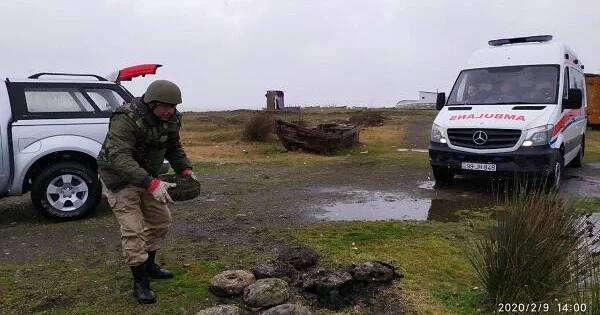 Qarabağ üçün 75 milyona yaxın vəsait ayrıldı