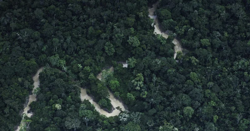 В ключевом регионе мира формируется новый тип климата