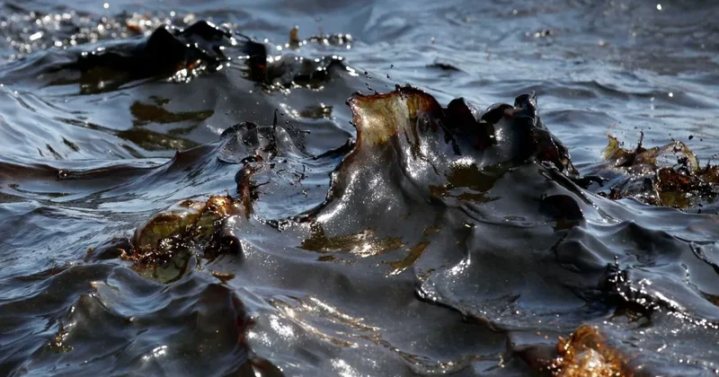 Нефтесодержащая жидкость вышла на поверхность на месторождении в Узбекистане ФОТО