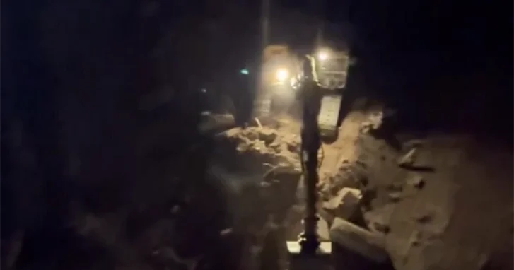 Дело о незаконной вырубке дерева в Баку передадут в Генпрокуратуру