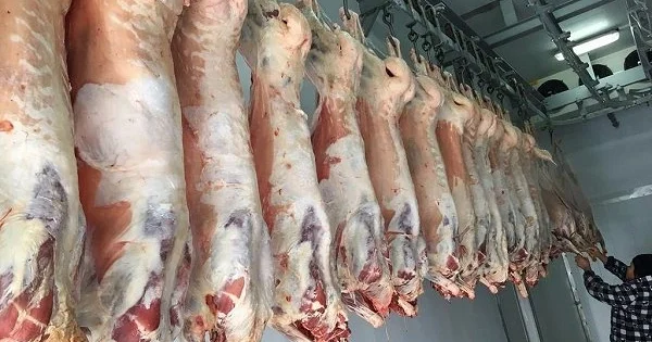 Monqol əti toyuq bazarını öldürür ?