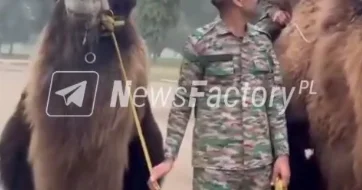 В индийской армии появились верблюды ВИДЕО