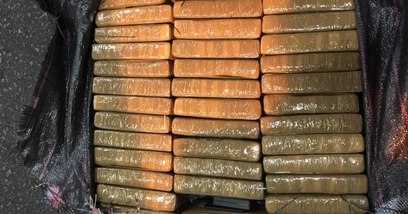 В России пресекли контрабанду 40 кг кокаина из Латинской Америки