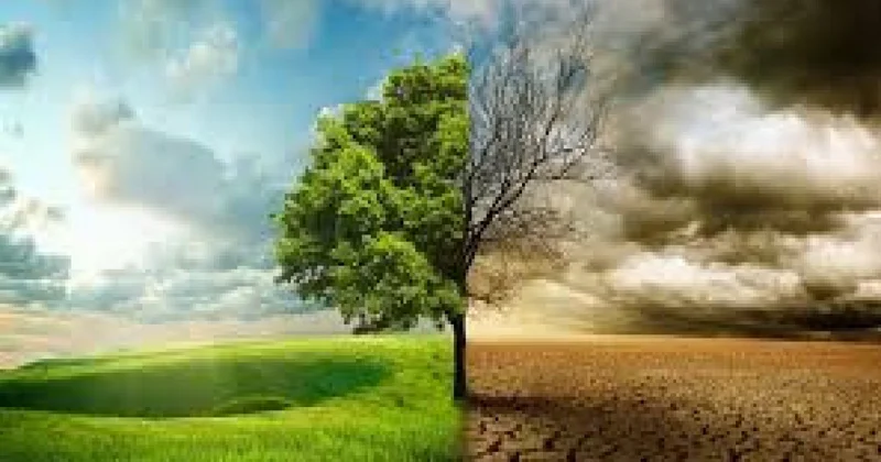 Bu il iqlim dəyişikliyi ilə əlaqədar 1,3 mlrd. manat proqnozlaşdırılır