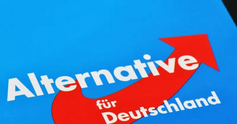Ультраправые в Германии лидируют с рекордным перевесом над партией Мерца