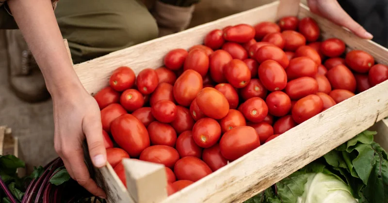 Назван продукт, снижающий риск развития аллергии