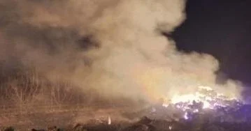 Пожар уничтожил 12 тысяч тюков сена в Шамкире