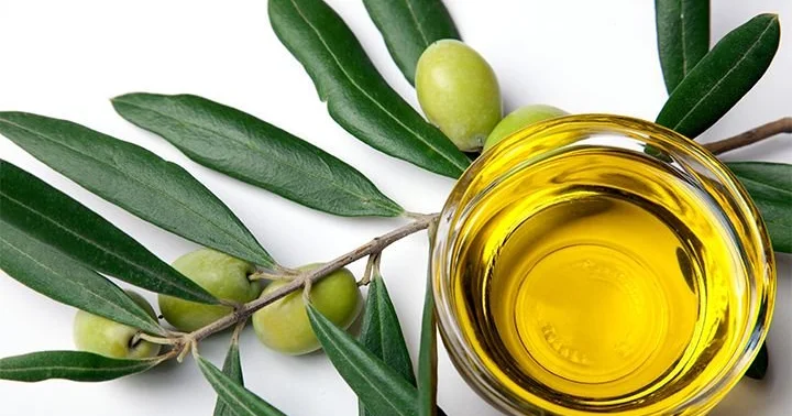 Zeytun yarpağının faydaları nələrdir?