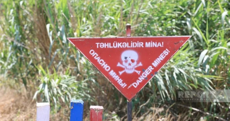 Ötən il 69 min hektardan çox ərazi minalardan təmizlənib