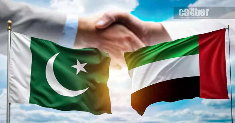 Экономический щит и военная глубина Пакистанский вектор геополитики Абу Даби