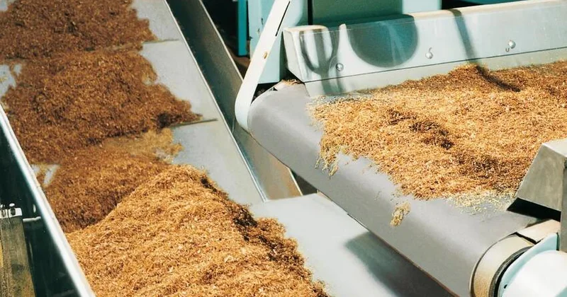 Azərbaycanda bir sıra tütün şirkətləri borca düşüb SİYAHI