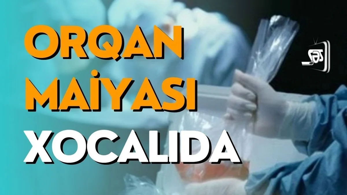 Xocalıda orqan mafiyasının tuneli aşkarlandı