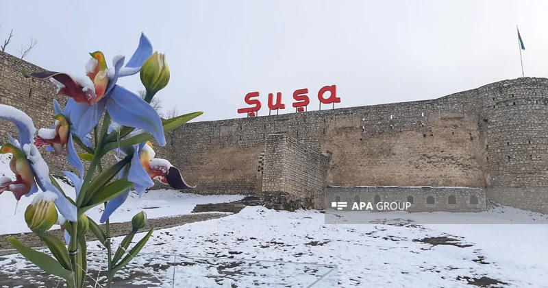 Sibir mənşəli soyuqlar ölkənin havasını necə dəyişib? FOTOLAR