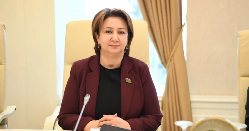 Şeyx Zayed irsi və qlobal liderlik modeli ŞƏRH
