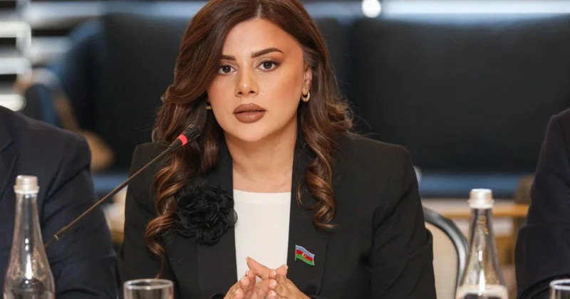 Sülh müqaviləsi Azərbaycanın milli maraqlarına uyğun və Cənubi Qafqazda dayanıqlı sabitliyə hesablanıb