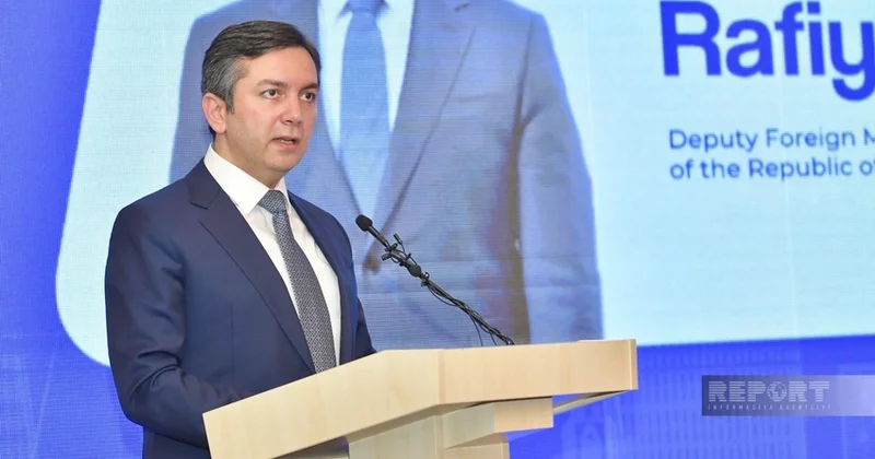Рафиев: Африканский континент является частью Движения неприсоединения