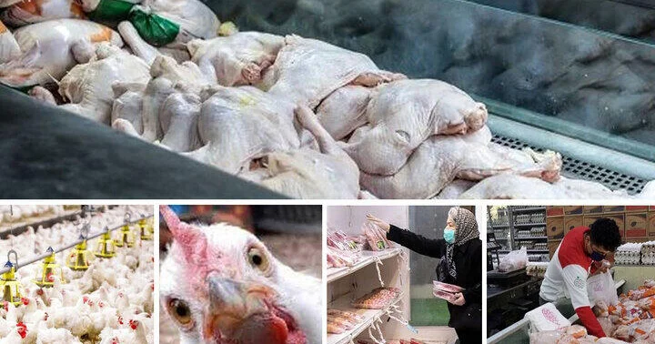 Yol qırağından nəsə alanda 2 dəfə düşünün Hinduşka adı ilə toyuq satırlar