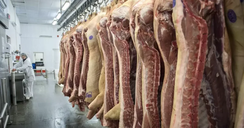 В Гори обнаружили три нелегальные скотобойни