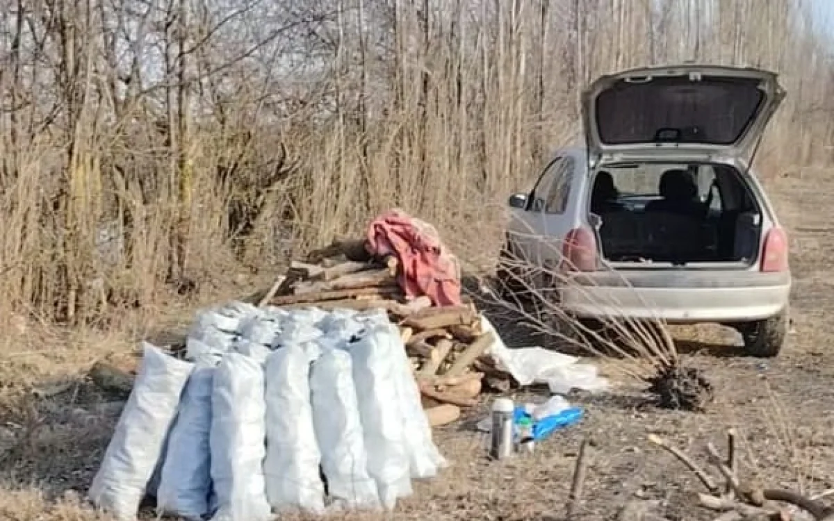 Qanunsuz yolla ağac kömürü istehsal edən quyular aşkarlandı FOTOLAR