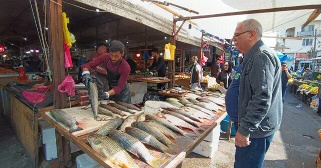 Könlü balıq istəyənin quyruğu suda, ya da ayağı bazarda ola Qıtlığın SƏBƏBLƏRİ