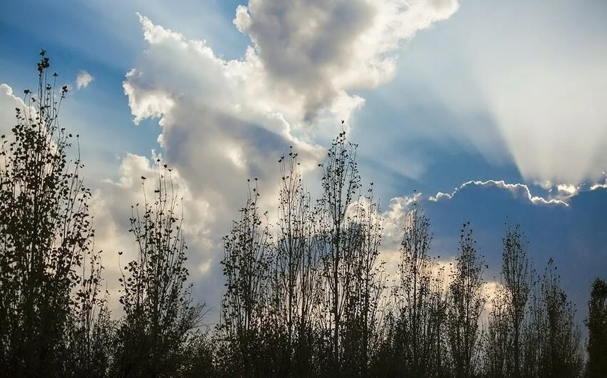 Bu gün hava necə olacaq?