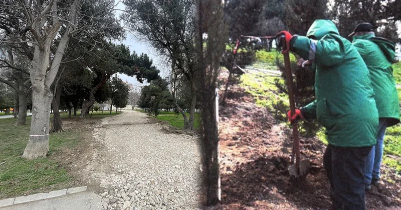 “Zorge” parkının içindən yol salınıb? Fotolar