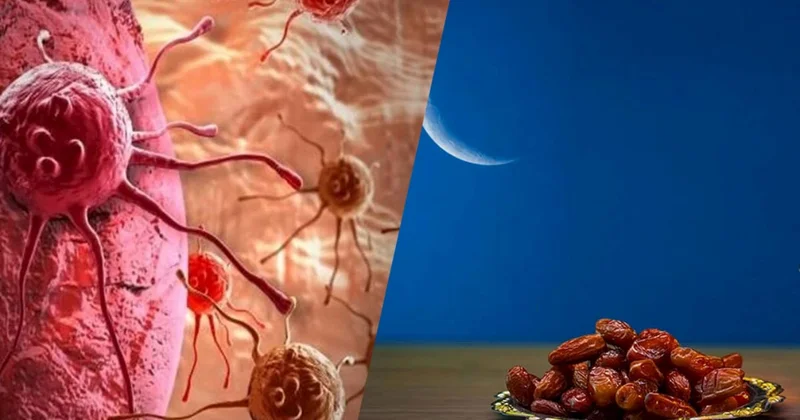 Oruc tutmaq xərçəng hüceyrələrini məhv edir Elmi araşdırma