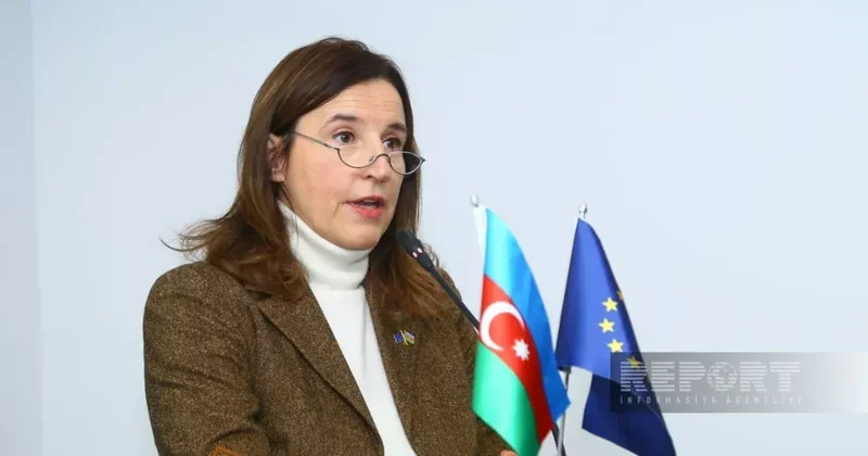 Посол ЕС в Азербайджане отреагировала на атаку Ирана на Нахчыван