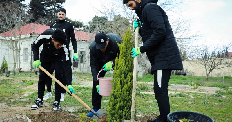“Neftçi” İdman Klubu tərəfindən ağacəkmə aksiyası keçirildi Fotolar