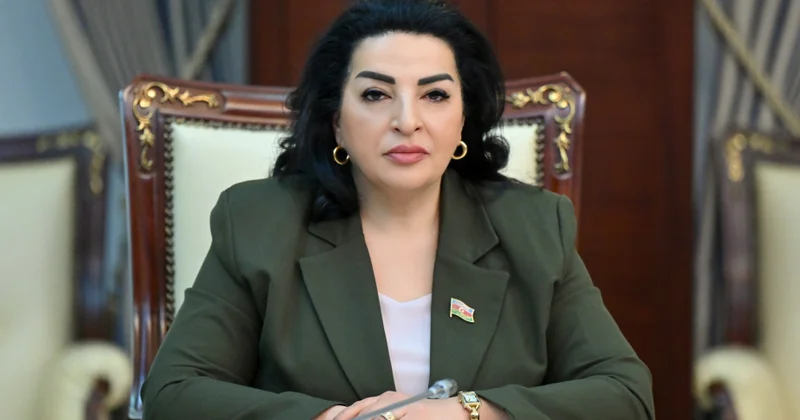 Azərbaycan ixrac potensialını genişləndirən investisiya tərəfdaşı kimi çıxış edir ŞƏRH
