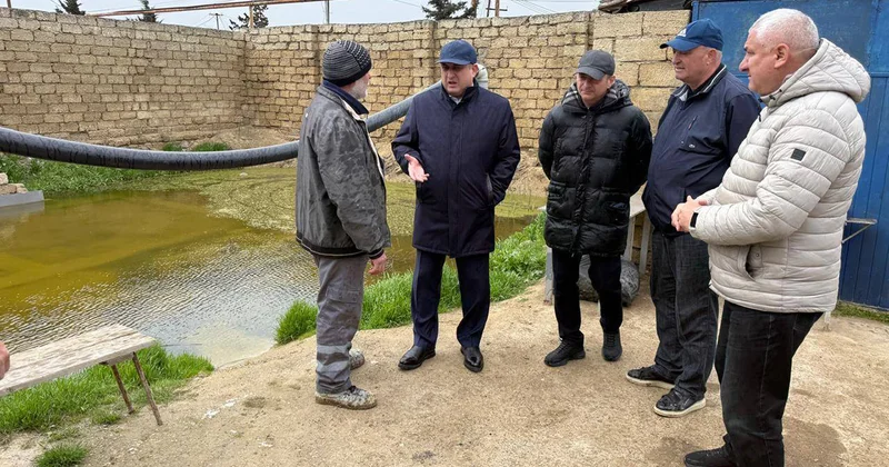 Adil Əliyev Suraxanıda yağışın fəsad törətdiyi ərazilərdə Fotolar