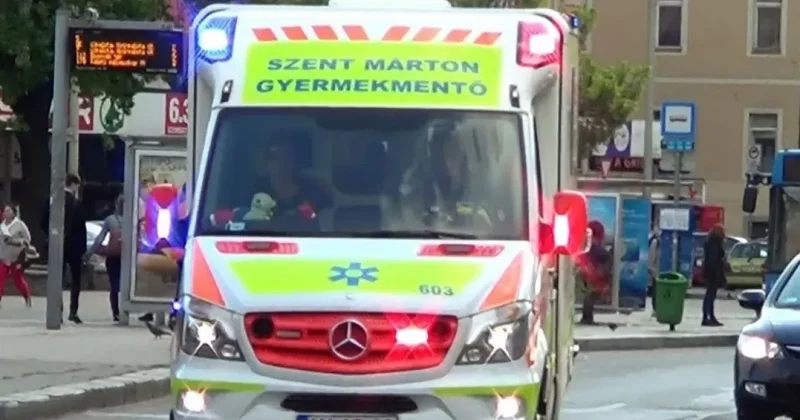 Bild: в Германии при падении дерева на людей погибли трое