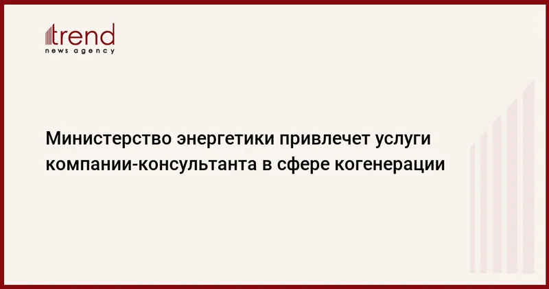 Министерство энергетики привлечет услуги компании консультанта в сфере когенерации