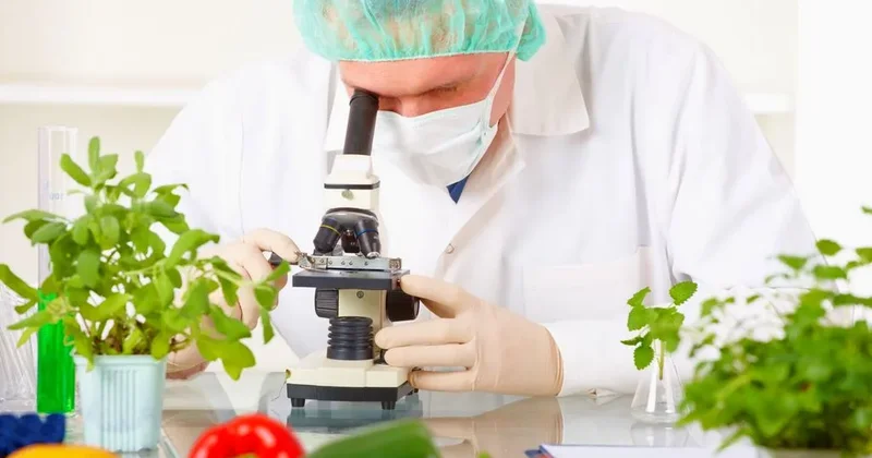 Qida təhlükəsizliyi məsələsində istehlakçı hüquqları