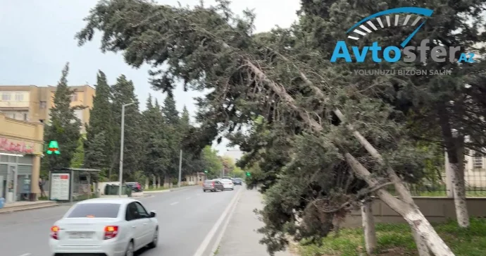 Bakıda ötən ay əsən güclü küləyin fəsadları hələ də aradan qaldırılmayıb FOTO