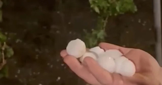 Naxçıvanda dolu təsərrüfatlara ziyan vurdu Video