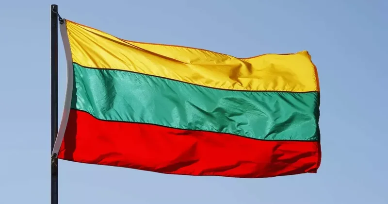 В Литве создали аналог Альтернативы для Германии