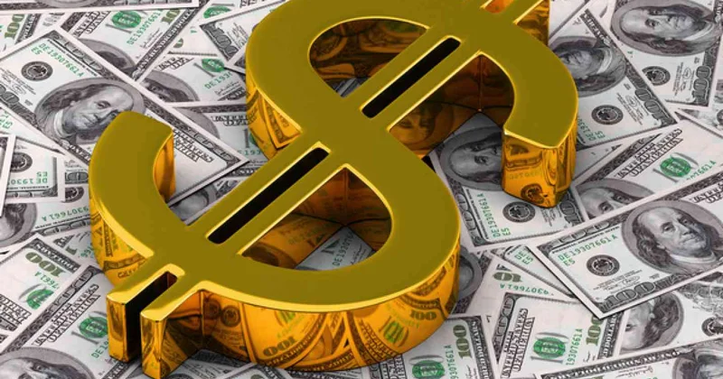 ABŞ geri qayıtmaq istəyən immiqrantlara 1000 dollar verəcək