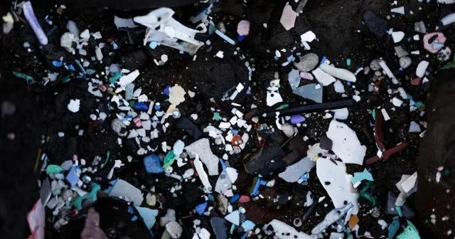 Okeanın hər qatında mikroplastik tapılıb